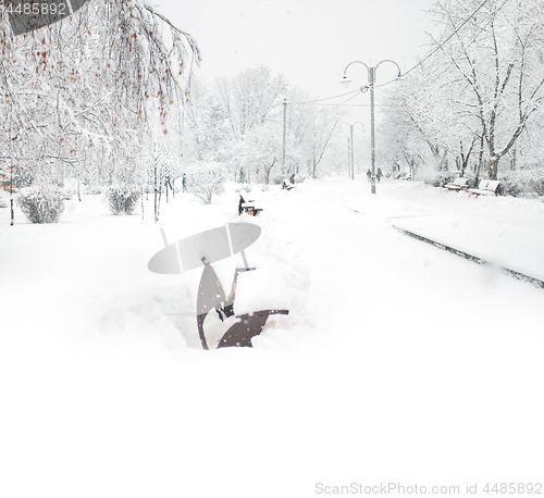 Image of Park with Trees covered with Snow