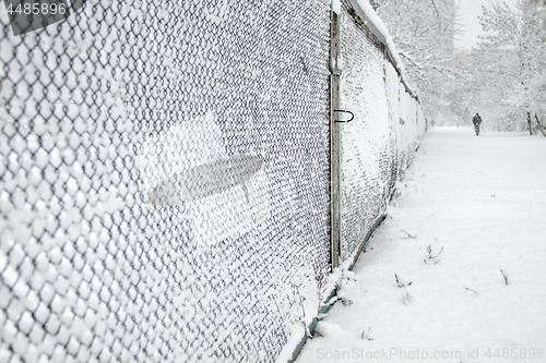 Image of Snow-covered Rabitz grid