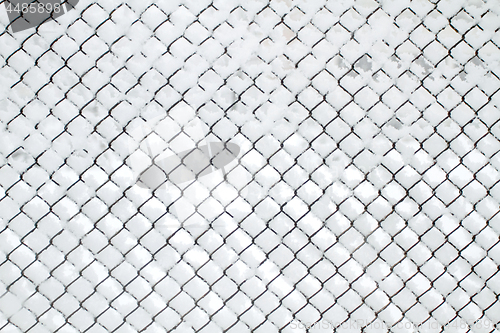 Image of Snow-covered Rabitz grid