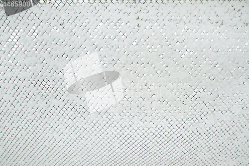 Image of Snow-covered Rabitz grid