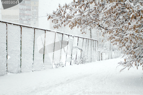 Image of Park with Trees covered with Snow