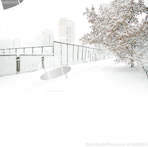 Image of Park with Trees covered with Snow