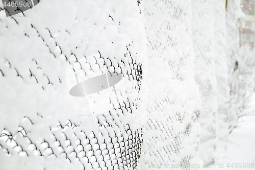 Image of Snow-covered Rabitz grid