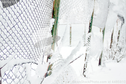 Image of Snow-covered Rabitz grid