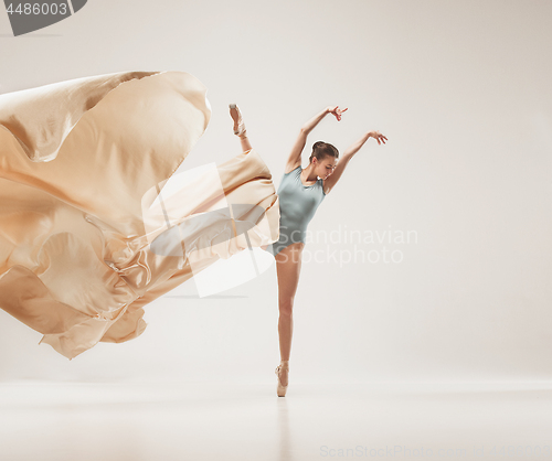 Image of Modern ballet dancer dancing in full body on white studio background.