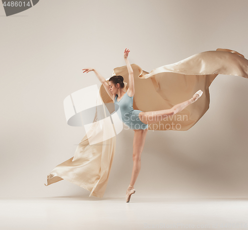 Image of Modern ballet dancer dancing in full body on white studio background.