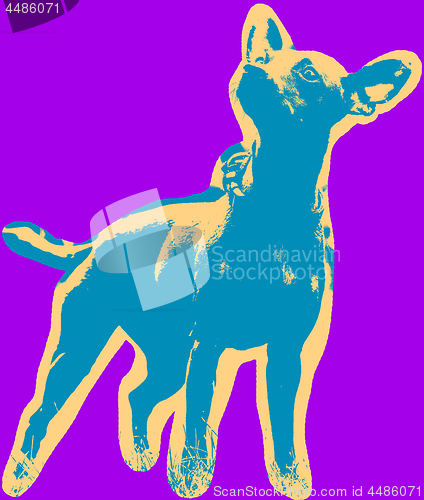 Image of Poster with portrait of a miniature pinscher dog