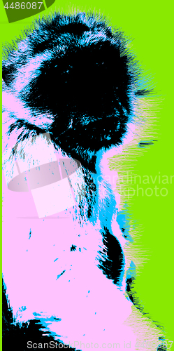 Image of Picture with ape over green background