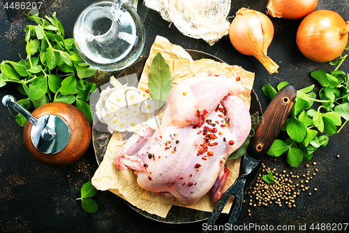 Image of raw chicken