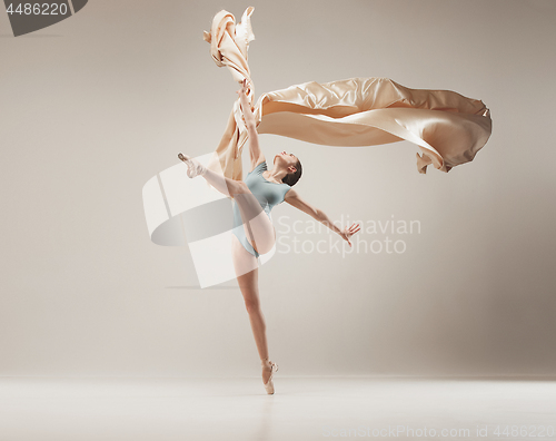 Image of Modern ballet dancer dancing in full body on white studio background.