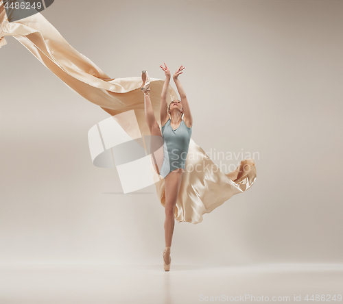 Image of Modern ballet dancer dancing in full body on white studio background.