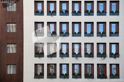 Image of Hotel Windows