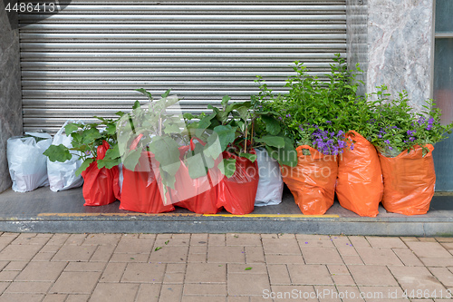 Image of Plants Delivery