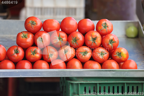 Image of Tomato