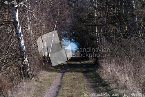 Image of Country road with light in the tunnel