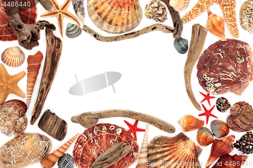 Image of Driftwood and Seashell Abstract Border