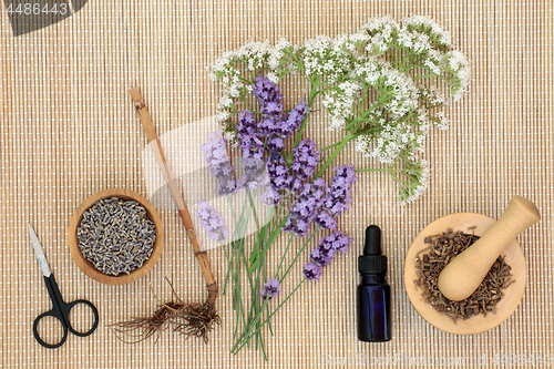 Image of Lavender and Valerian Herbal Medicine