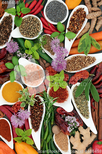 Image of Spice and Herb Seasoning