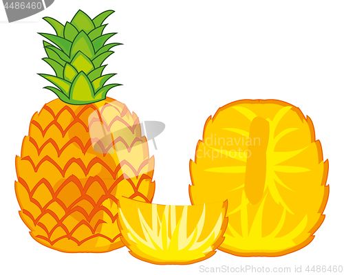 Image of Fruit of the pineapple on white background insulated