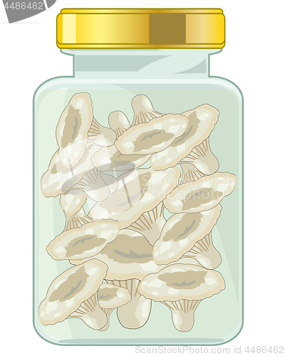 Image of Salty mushrooms in glass bank with lid