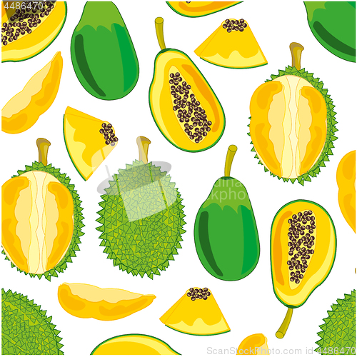 Image of Durian,papaya pattern decorative pattern on white background