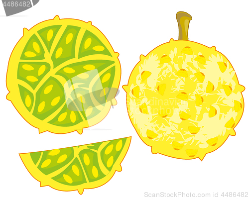 Image of Exotic fruit kivano on white background is insulated