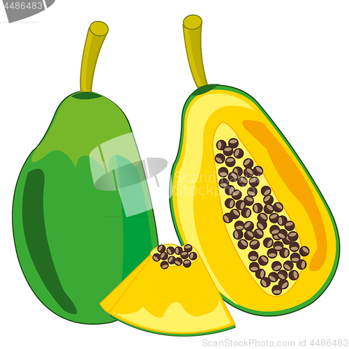 Image of Papaya fruit on white background is insulated