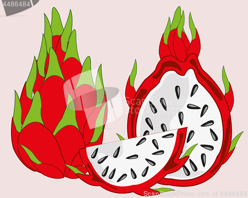 Image of Exotic fruit pitaya on white background is insulated