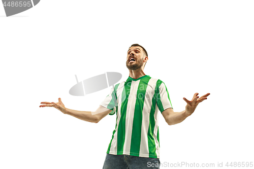 Image of Irish fan celebrating on white background