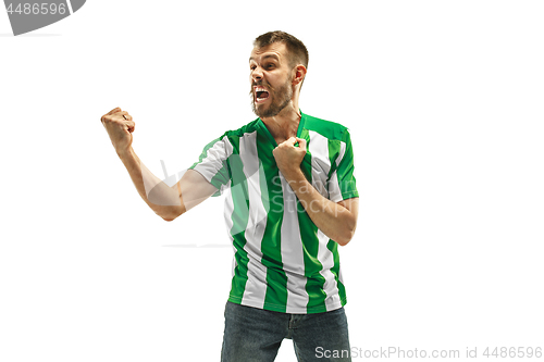 Image of Irish fan celebrating on white background