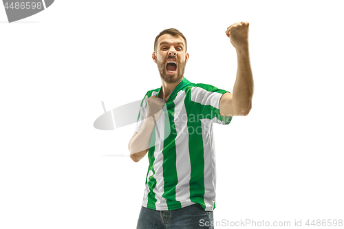 Image of Irish fan celebrating on white background