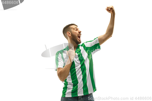 Image of Irish fan celebrating on white background