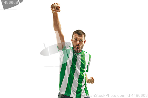 Image of Irish fan celebrating on white background