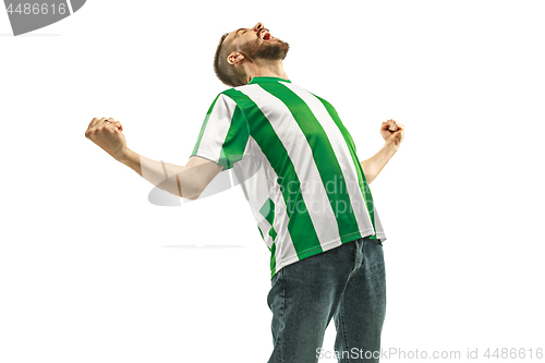 Image of Irish fan celebrating on white background