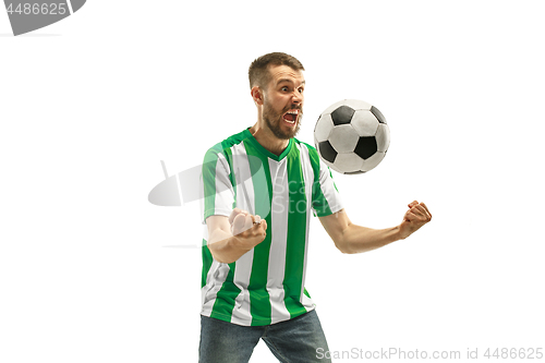 Image of Irish fan celebrating on white background