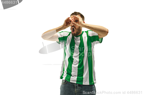 Image of Irish fan celebrating on white background