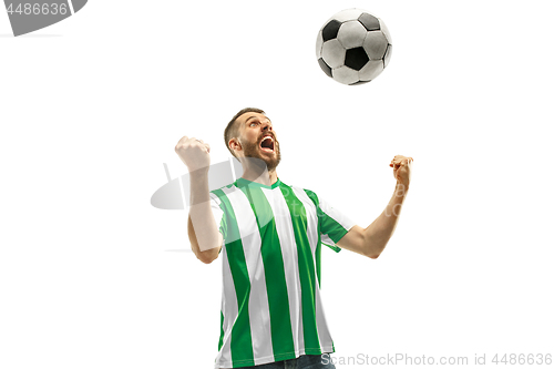 Image of Irish fan celebrating on white background