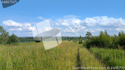 Image of Beautiful summer landscape 