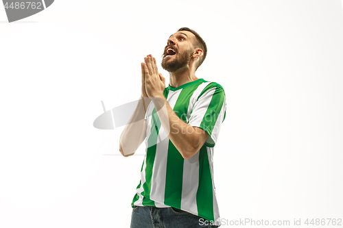 Image of Irish fan celebrating on white background