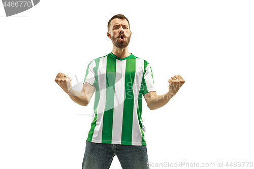 Image of Irish fan celebrating on white background