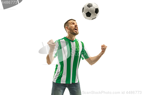 Image of Irish fan celebrating on white background