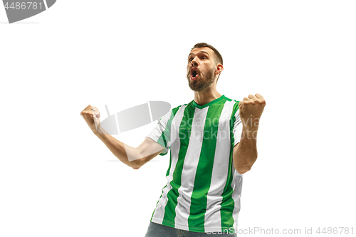 Image of Irish fan celebrating on white background