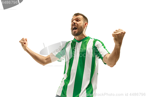 Image of Irish fan celebrating on white background