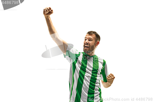 Image of Irish fan celebrating on white background