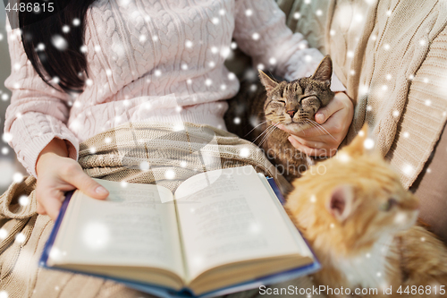 Image of red and tabby and owner reading book at home