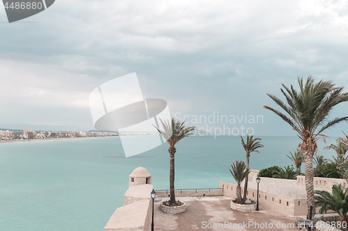 Image of Turquoise sea and palm trees