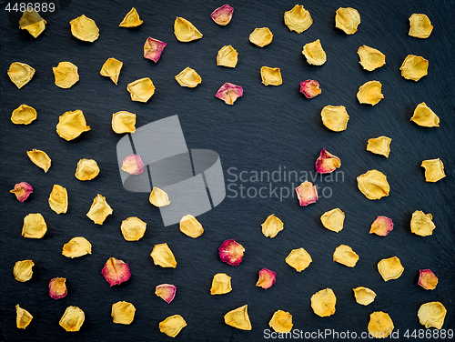 Image of Rose petals heart frame on black background 