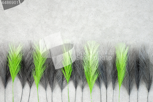 Image of Green and black feathers on concrete background