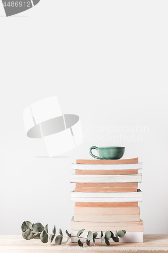 Image of Stack of books and eucalyptus branch