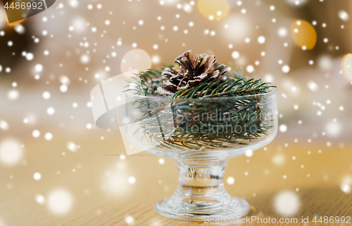 Image of christmas fir decoration with cone in dessert bowl